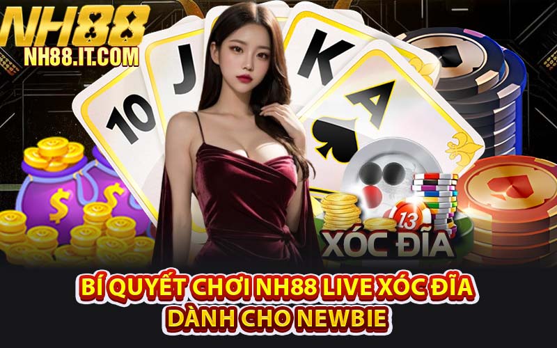 Bí Quyết Chơi NH88 Live Xóc Đĩa Dành Cho Newbie